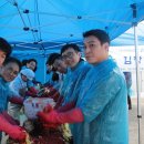 (주)마제스타 이미지