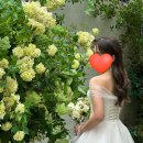 제이(J)헤어 | [엘루스J 청담점] 웨딩 촬영 솔직후기 | 엘루스제이 헤어변형 추천