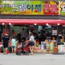 드림청과