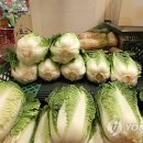 신토불이축산 연합뉴스