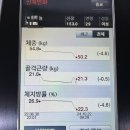 서정피트니스 | 노원구 중계동 헬스장 서정피트니스 가격 위치 리뷰