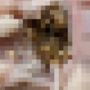 하림생닭 이미지