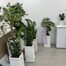 꽃블리평촌역인덕원점 이미지