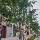 가족크리닝샾 이미지