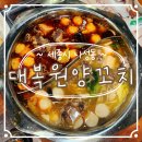 [세종시] 나성동 양꼬치 훠궈 맛집 &#34;대복원양꼬치&#34; 솔직후기