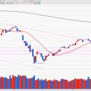 대동전자 이미지