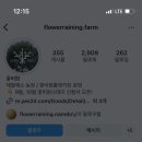 꽃비원스테이 이미지