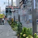 그늘막84 이미지