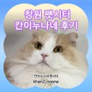 진영냥이 | 경남 창원 마산 칸이누나네 펫시터 고양이 케어일지 장기간 펫시터 문제없어요!