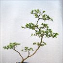 관수경로당 이미지