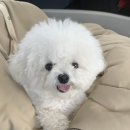 스테이 아모 | 강원도 여행