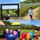 순용목장 | [주말일상] 아그로랜드 태신목장 방문후기