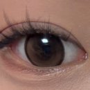 이오티디(EOTD)