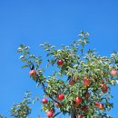 한성농원 이미지