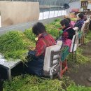 용성면행정복지센터 이미지