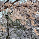 우시장축산도축직판장