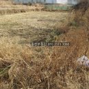 구산면575 이미지