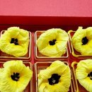 농업회사법인 (주)고운블랙