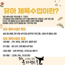 신정태권도 | 신정동태권도 추천 후기 – 아이가 즐겁게 다니는 신정동키즈태권도