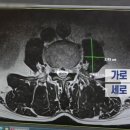 근육다짐 이미지