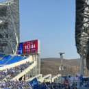 종합경기장(버스정류장) | K리그2 5라운드 직관 _ 수원삼성 블루윙즈 vs 용인FC (Feat. 용인미르스타디움)