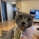 봄동살롱 이미지