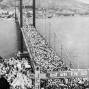 남해-154 이미지