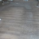 기린인테리어 이미지