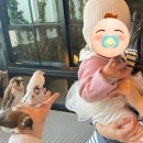 내가 더 | 조카보다 내가 더 재밌었던 평일 주렁주렁 하남점 후기