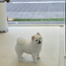 행복미용실 이미지