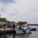 대진항 공중화장실 이미지