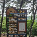 춘추 유아숲체험원 이미지
