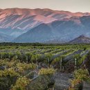 산후안(SAN JUAN) 이미지