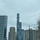 호텔세인트 | 시카고 세인트레지스 호텔 호캉스 후기