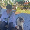 모이프레스티지 | 제주도 새별 프렌즈 동물원 아기랑(입장료, 먹이가격, 소요시간, 주차)