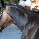 제이파마 이미지