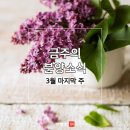 2019-주114 이미지