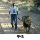 갓포소
