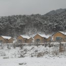 녹색농장 이미지