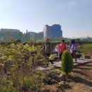 구로남초등학교 이미지