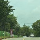 디에스(DS) | [수원웨딩홀] DS컨벤션 디에스 컨벤션 투어 솔직 후기 및 견적 공유 (26년 5월 상반기 대관료/식대 공유...