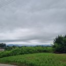 하늘다육농원