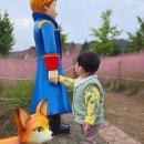 맑은물 사업소 옆 공원 | 마산 덕동 핑크뮬리 맑은물플라워가든 근린공원(매점,화장실,주차)