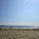 몽산포오션캠핑장 이미지