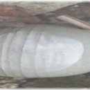 헤어미용(자격증) 이미지