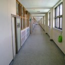 서울대진초등학교 이미지