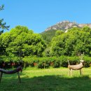 해남노을펜션 이미지