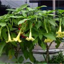 동남공원 이미지