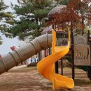 영신숲길3 이미지