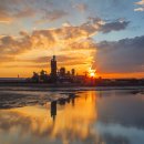 대성목재 이미지